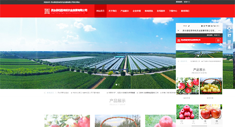 企業(yè)網(wǎng)站、程序軟件App解決方案